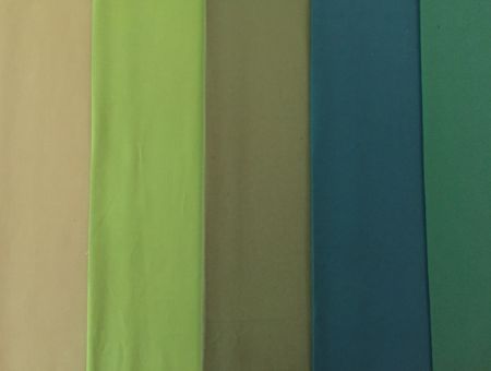 點擊查看詳細信息<br>標題：染色布 閱讀次數：6194